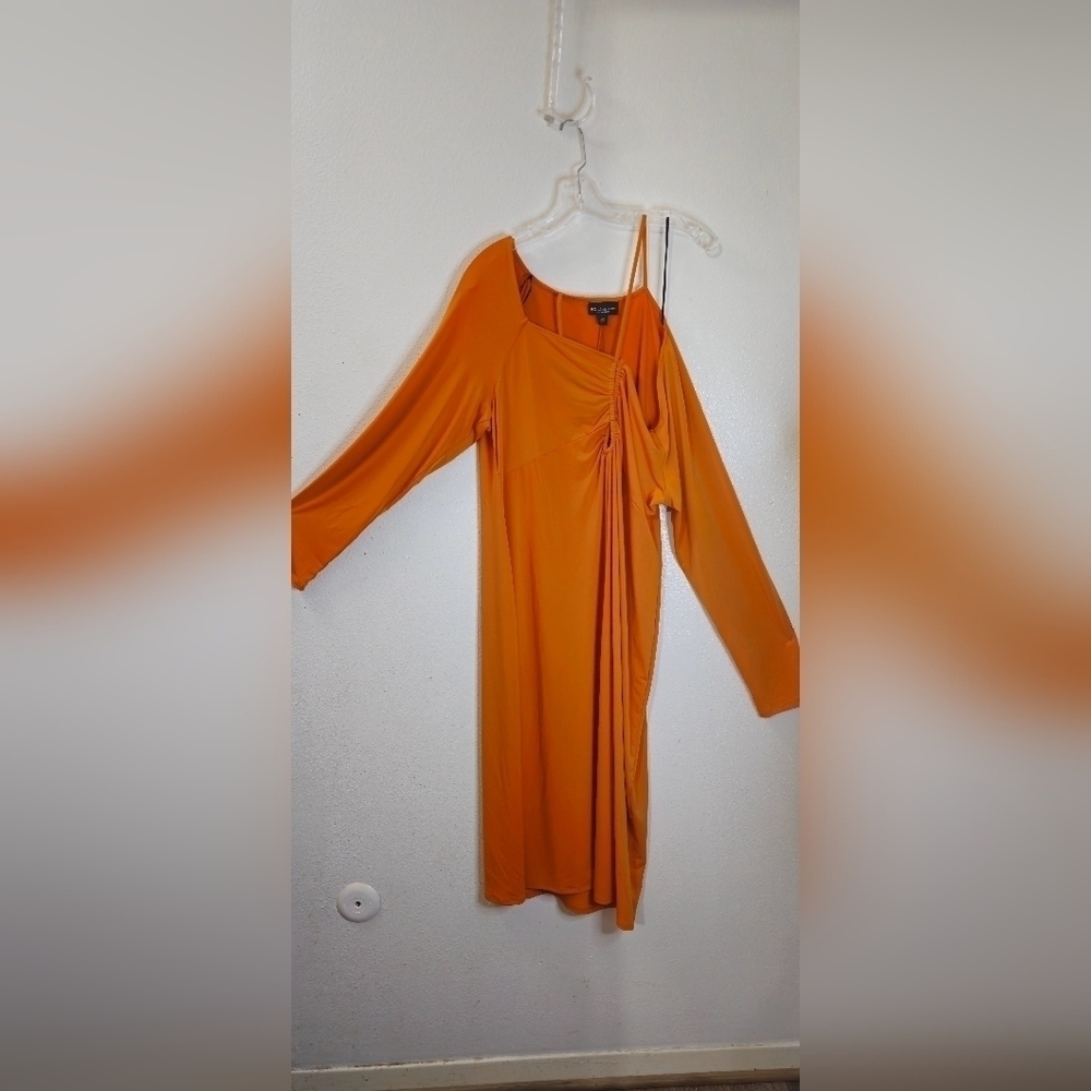 BOLD ELEMENTS DRESS - Picture 4 of 6
